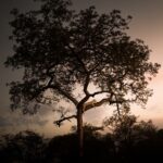 The Value of Disconnecting